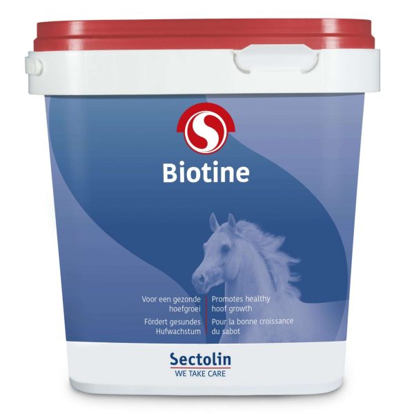 Sectolin Biotine Online Hot Sale