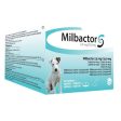 Milbactor Milbactor Kleiner Hund Welpe >0,5kg For Cheap