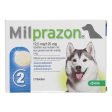 Milprazon Entwurmungsmittel Hund 12,5mg For Discount